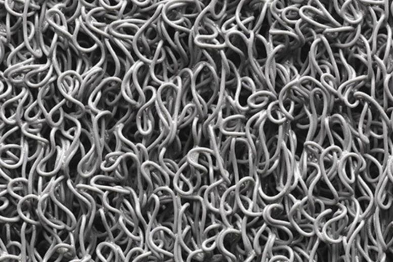 main product photo rounded-lg